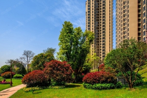 小區(qū)綠化維護(hù)與管理